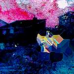 Eighth image from the photoset 'damage (cxlvi)'.