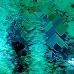 Sixth image from the photoset 'damage (cil)'.