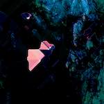 Eighth image from the photoset 'damage (cil)'.