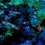 Image: First image from the photoset 'damage (cl)'.