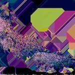 First image from the photoset 'damage (clii)'.