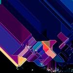 Fifth image from the photoset 'damage (clii)'.