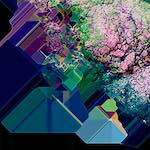 Image: Third image from the photoset 'damage (cliii)'.