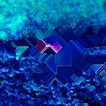 Image: Sixth image from the photoset 'damage (cliii)'.