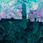 Fifth image from the photoset 'damage (clvi)'.