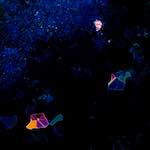 Second image from the photoset 'damage (clvii)'.