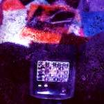 image: Image from the photoset &lsquo;damage (cclviii)&rsquo;.