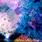 Image: Third image from the photoset 'damage (cclix)'.