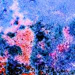 Image: Seventh image from the photoset 'damage (cclix)'.