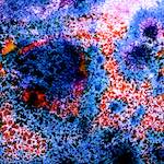 Image: Ninth image from the photoset 'damage (cclix)'.