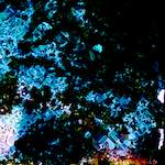 Image: Second image from the photoset 'damage (cclx)'.