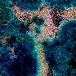 Image: Fifth image from the photoset 'damage (cclx)'.