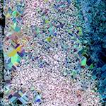 Image: Seventh image from the photoset 'damage (cclx)'.