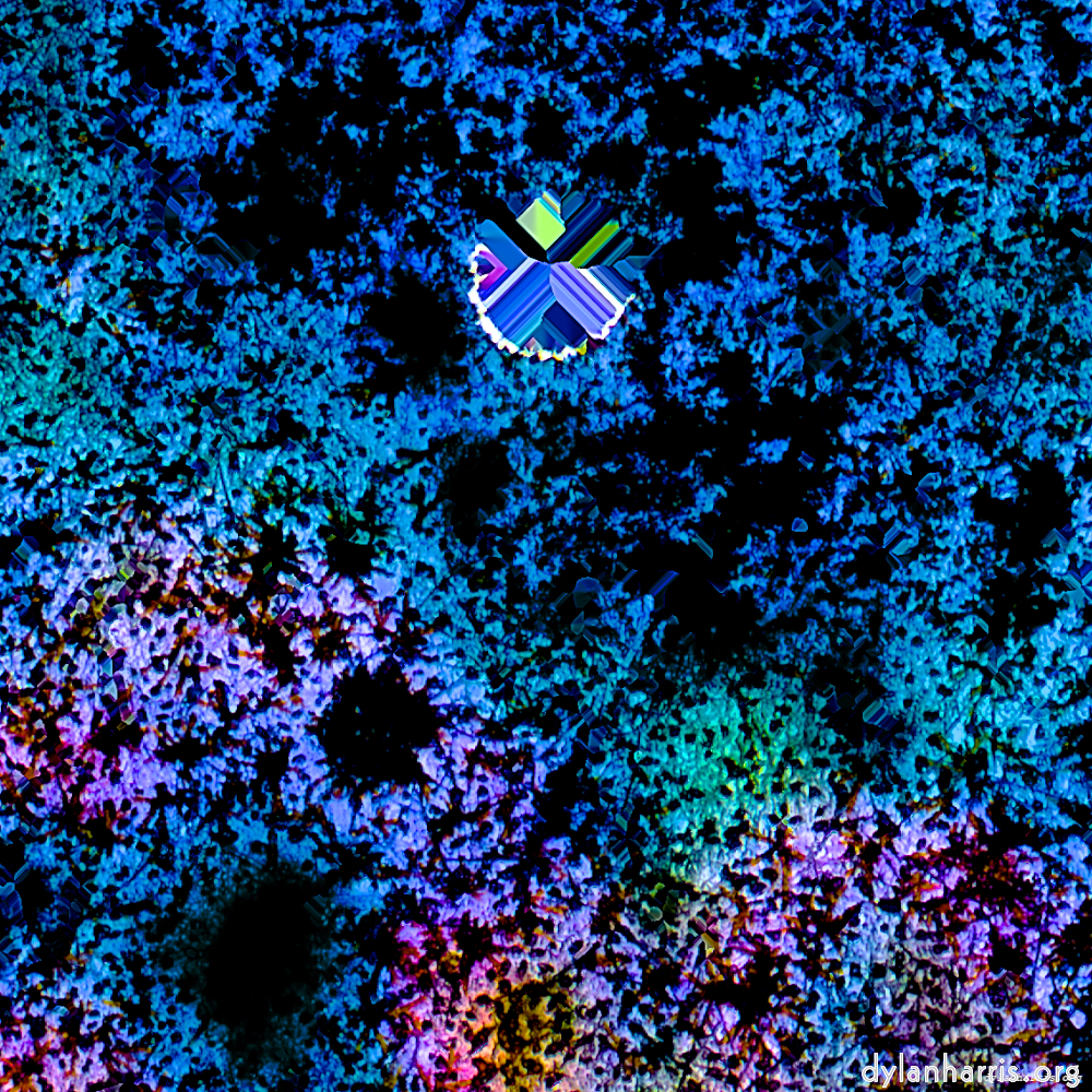 image: This is &lsquo;damage (cclxi) 5&rsquo;.