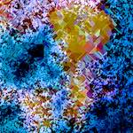 image: Image from the photoset &lsquo;damage (cclxi)&rsquo;.