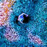 image: Image from the photoset &lsquo;damage (cclxi)&rsquo;.