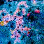 image: Image from the photoset &lsquo;damage (cclxi)&rsquo;.