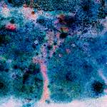 image: Image from the photoset &lsquo;damage (cclxi)&rsquo;.