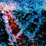 image: Image from the photoset &lsquo;damage (cclxi)&rsquo;.