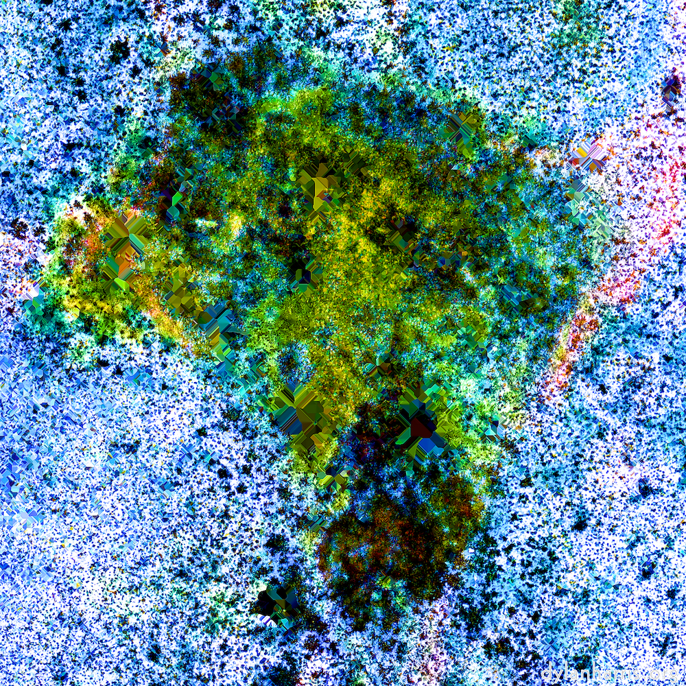 image: This is &lsquo;damage (cclxii) 5&rsquo;.