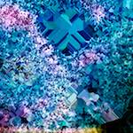 image: Image from the photoset &lsquo;damage (cclxii)&rsquo;.