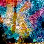 image: Image from the photoset &lsquo;damage (cclxii)&rsquo;.