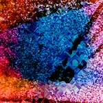 image: Image from the photoset &lsquo;damage (cclxii)&rsquo;.