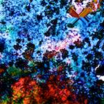 image: Image from the photoset &lsquo;damage (cclxii)&rsquo;.