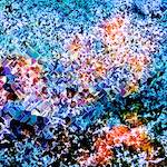 image: Image from the photoset &lsquo;damage (cclxii)&rsquo;.