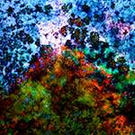 image: Image from the photoset &lsquo;damage (cclxiii)&rsquo;.