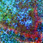 image: Image from the photoset &lsquo;damage (cclxiii)&rsquo;.