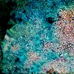 image: Image from the photoset &lsquo;damage (cclxiii)&rsquo;.