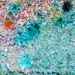 image: Image from the photoset &lsquo;damage (cclxiii)&rsquo;.