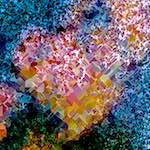 image: Image from the photoset &lsquo;damage (cclxiv)&rsquo;.