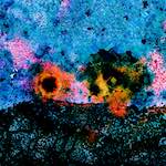 image: Image from the photoset &lsquo;damage (cclxiv)&rsquo;.