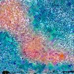 image: Image from the photoset &lsquo;damage (cclxiv)&rsquo;.