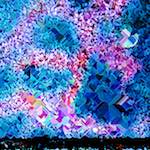 image: Image from the photoset &lsquo;damage (cclxiv)&rsquo;.