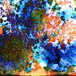 image: Image from the photoset &lsquo;damage (cclxiv)&rsquo;.