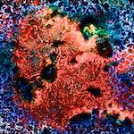 First image from the photoset 'damage (cclxv)'.