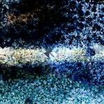 Second image from the photoset 'damage (cclxv)'.