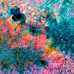 Fourth image from the photoset 'damage (cclxv)'.