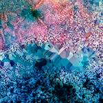 Fifth image from the photoset 'damage (cclxv)'.