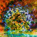 damage 261&ndash;280 photosets