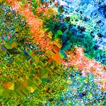 image: Image from the photoset &lsquo;damage (cclxvii)&rsquo;.