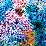 image: Image from the photoset &lsquo;damage (cclxvii)&rsquo;.