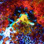 image: Image from the photoset &lsquo;damage (cclxviii)&rsquo;.