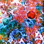 image: Image from the photoset &lsquo;damage (cclxviii)&rsquo;.