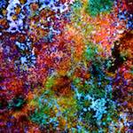 image: Image from the photoset &lsquo;damage (cclxviii)&rsquo;.