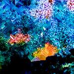 image: Image from the photoset &lsquo;damage (cclxviii)&rsquo;.