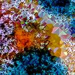 image: Image from the photoset &lsquo;damage (cclxix)&rsquo;.